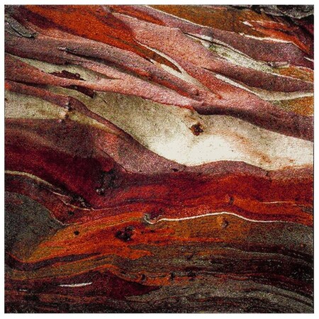 Safavieh 3 x 3 ft. Glacier Power Loomed Square Area Rug Red & Multi Color GLA126A-3SQ